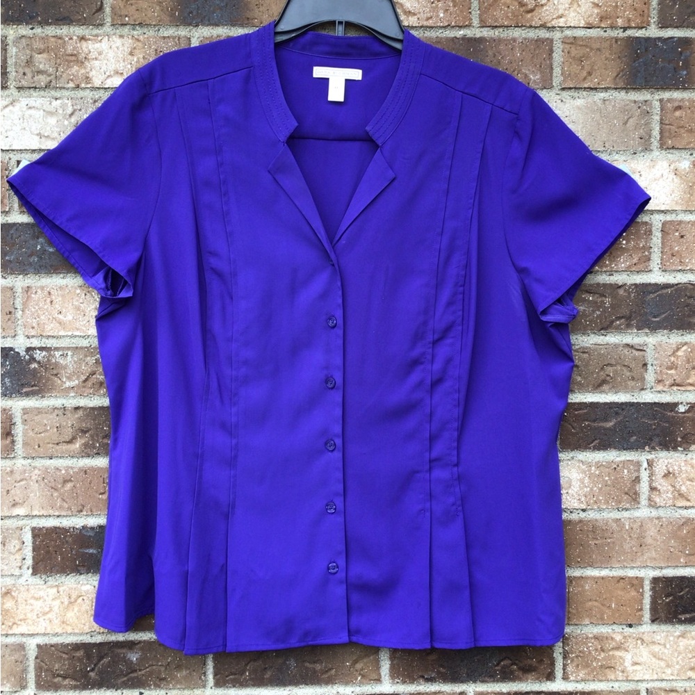 Dana Buckman Royal Blue Women's Top
